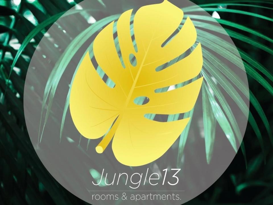 Jungle 13 - And Сasa de vacaciones